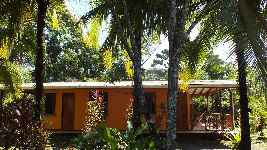 קאוויטה Cabinas Caribe Luna מראה חיצוני תמונה